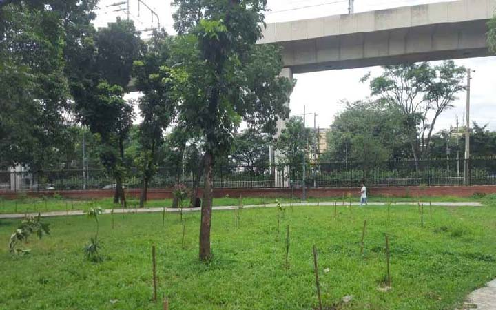 পান্থকুঞ্জ পার্কে ‘উন্মুক্ত ফলের বাগান’ করার উদ্যোগ