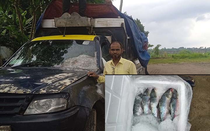 আখাউড়া স্থলবন্দর দিয়ে ভারতে গেল ইলিশ