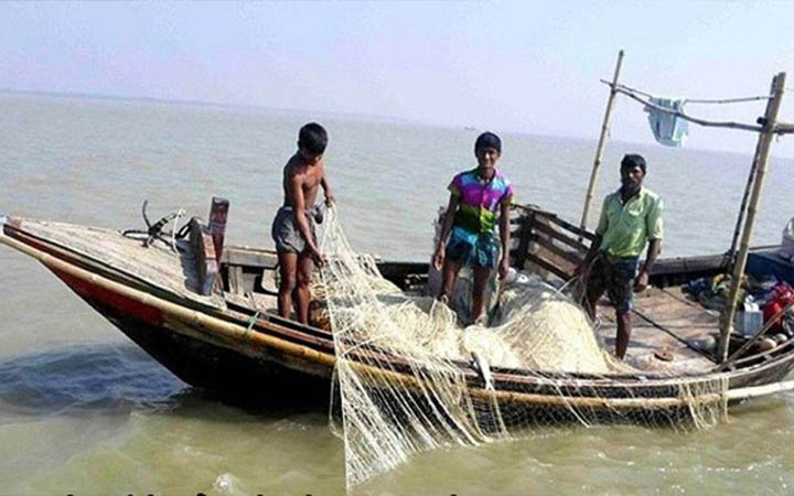 দশমিনায় জালে মিলছে না ইলিশ, দিশেহারা জেলেরা