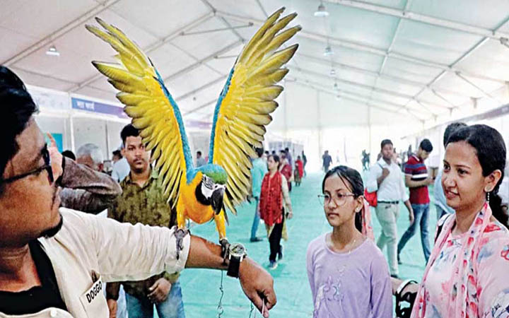 আজ শুরু হচ্ছে প্রাণিসম্পদ সেবা সপ্তাহ ও প্রদর্শনী
