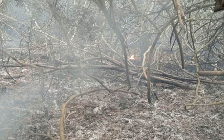 সুন্দরবনে আগুন নেভানোর কাজ শুরু