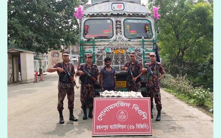 ভারতে পাচারের সময় ইলিশ জব্দ