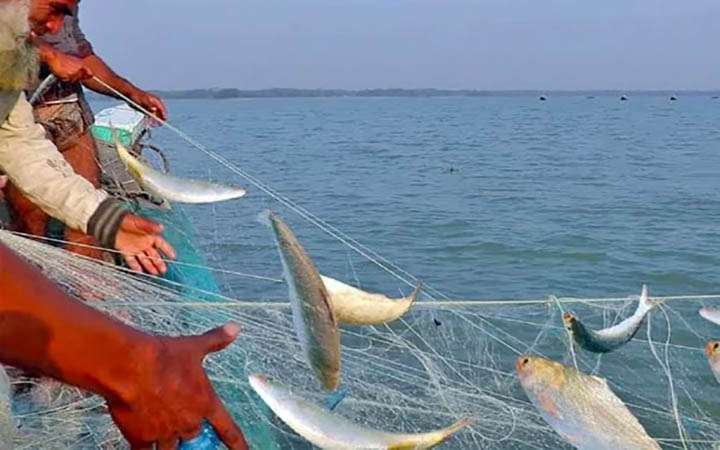 নিষেধাজ্ঞার দুইদিনে বরিশালে ২ লাখ মিটার জাল জব্দ