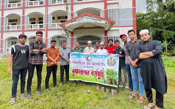 শাহরাস্তিতে যুব রেড ক্রিসেন্ট টিমের উদ্যোগে বৃক্ষরোপণ