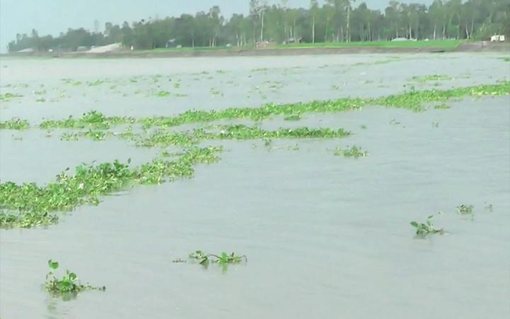 কুড়িগ্রামে নদীর পানি কমলেও বন্যা পরিস্থিতি অপরিবর্তিত