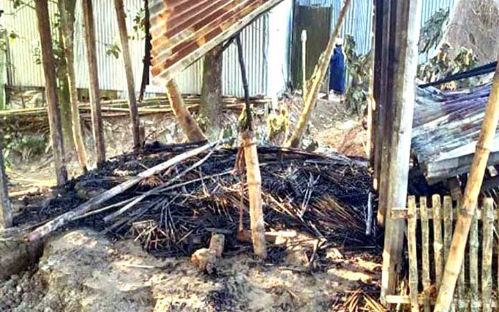 বগুড়ায় অগ্নিকাণ্ডে কৃষকের তিন গরুর মৃত্যু