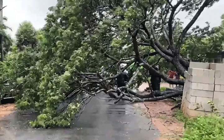 ভারতে ঘূর্ণিঝড় মোন্থার আঘাতে নারীর মৃত্যু