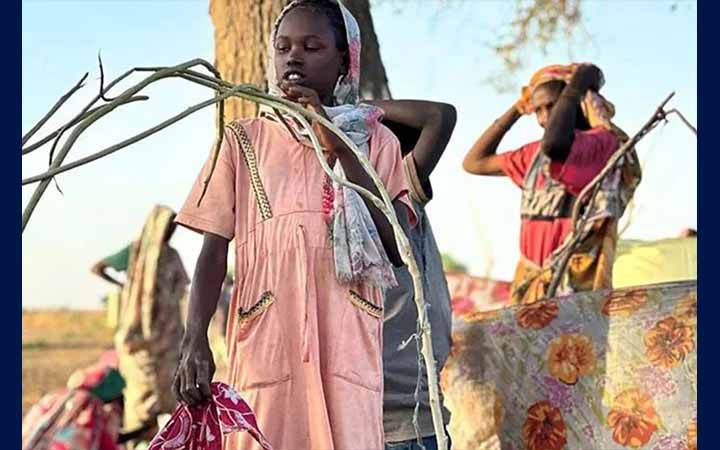 সুদানের এল-ফাশেরে গণহত্যা ও মানবতাবিরোধী অপরাধের অভিযোগ