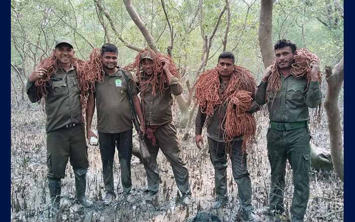 রাস উৎসবের আড়ালে সুন্দরবনে হরিণ শিকারের পরিকল্পনা, গ্রেফতার ৪২