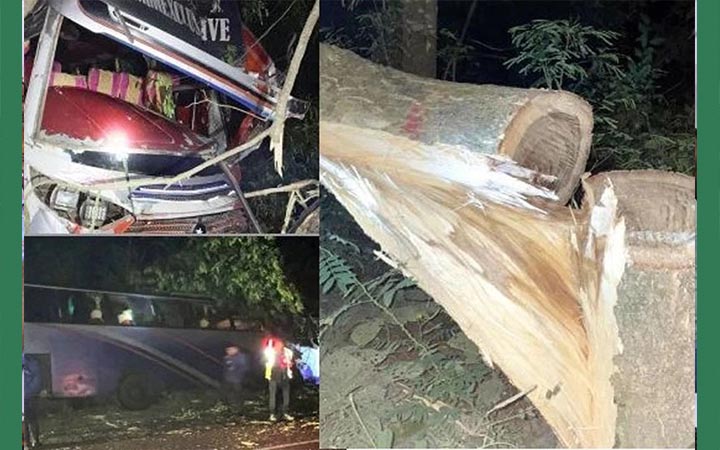 গভীররাতে কাশিয়ানীতে গাছ ফেলে মহাসড়ক অবরোধ