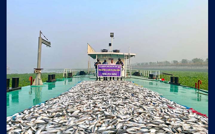 মুন্সীগঞ্জে ৪৩ লক্ষ টাকার জাটকা জব্দ