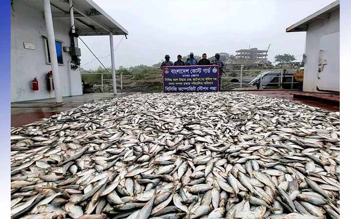 মুন্সীগঞ্জে ৪৫ লাখ টাকার জাটকা জব্দ