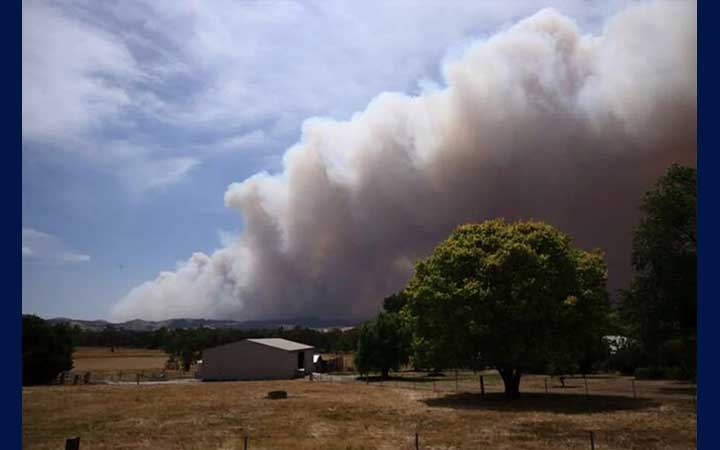 দাবানলে পুড়ছে অস্ট্রেলিয়া, বিদ্যুৎহীন হাজারো মানুষ