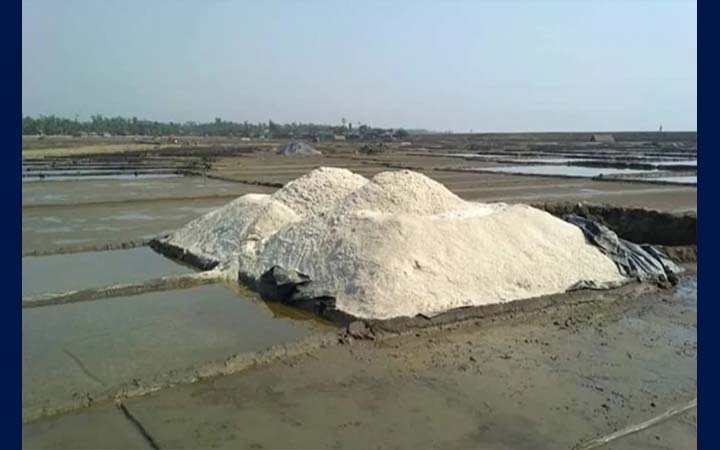 আমদানির খবরে কুতুবদিয়ার লবণচাষিদের উদ্বেগ
