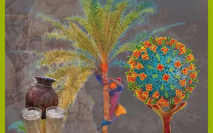 শীতের মৌসুমে বাড়ছে নিপাহ ভাইরাসের আতঙ্ক: যা জানা জরুরি