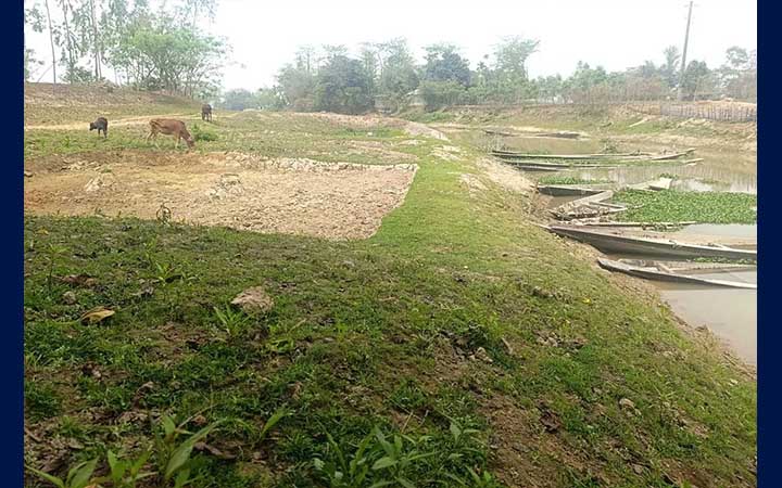 ভরাট ও দখল–দূষণে মৃতপ্রায় হাওরের খাল, সেচ সংকটে কৃষকেরা