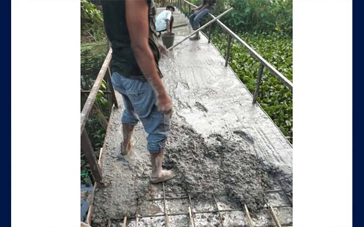 সেতুর ঢালাইয়ে রডের বদলে বাঁশের কঞ্চি, ভেঙে ফেলার নির্দেশ