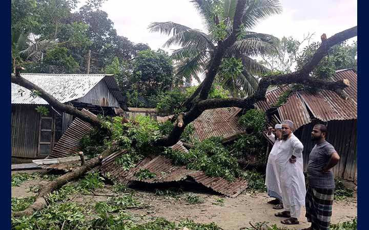 নাঙ্গলকোটে কালবৈশাখীর তাণ্ডবে মাদ্রাসা ভবন বিধ্বস্ত, পাঠদান ব্যাহত