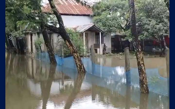 কলাপাড়ায় টানা বৃষ্টিতে পানিবন্দি অনেক পরিবার