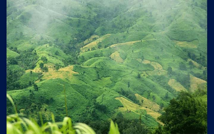 বান্দরবান ভ্রমণ নিষেধাজ্ঞার মেয়াদ ফের বাড়ল