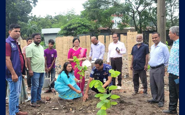 শেরপুরে বিলের দুর্গন্ধ মুছে ছায়া-সুনিবিড় বনায়নের উদ্যোগ