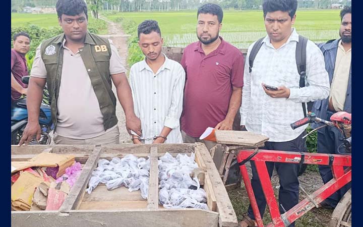 লালমনিরহাটে ডিবির অভিযানে বিপুল পরিমাণ মাদক জব্দ