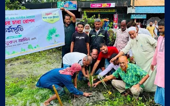 বজ্রপাত রোধে ৫ কিমি সড়কে লাগানো হবে ২৩০০ তালগাছ