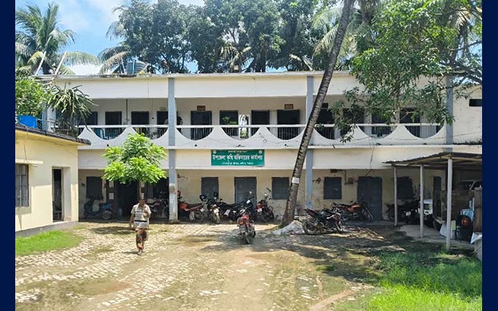 কালীগঞ্জে সার সংকটে বিপাকে কৃষক