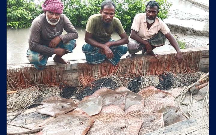 সুন্দরবনে শাপলাপাতা মাছসহ ছয় জেলে আটক, ট্রলার ও জাল জব্দ