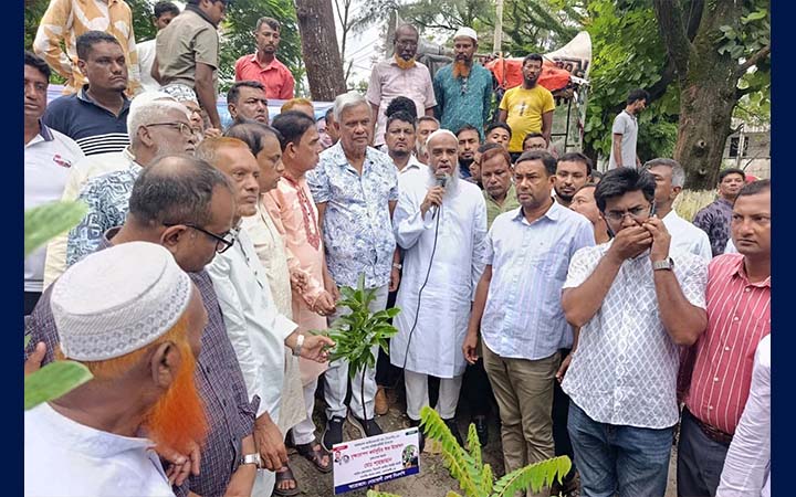 নোয়াখালীতে বিএনপির প্রতিষ্ঠাবার্ষিকীতে বৃক্ষরোপণ