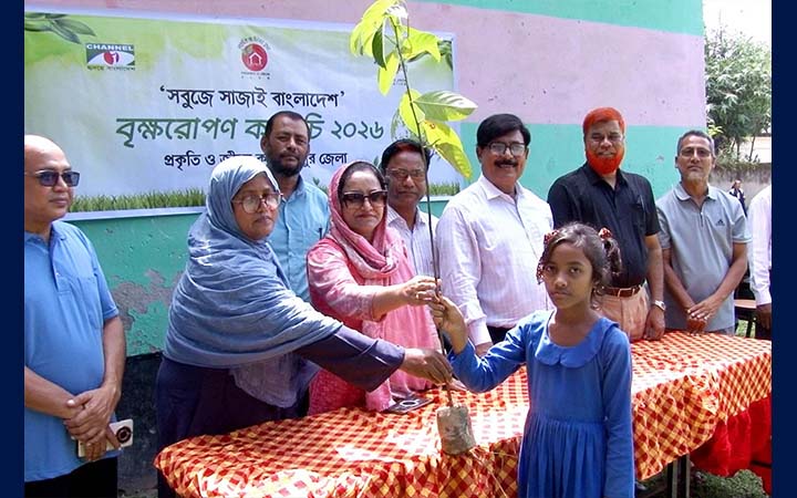 রংপুরে গাছের চারা বিতরণ