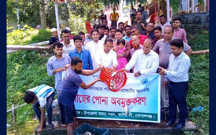 গোপালগঞ্জে মাছের পোনা অবমুক্তকরণ