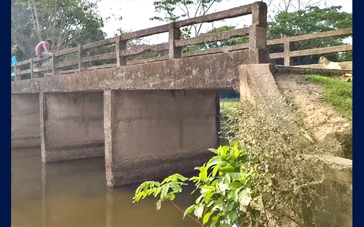 ২৯ বছরেও চালু হয়নি সেতু, সংযোগ সড়কের অভাবে ভোগান্তিতে মানুষ