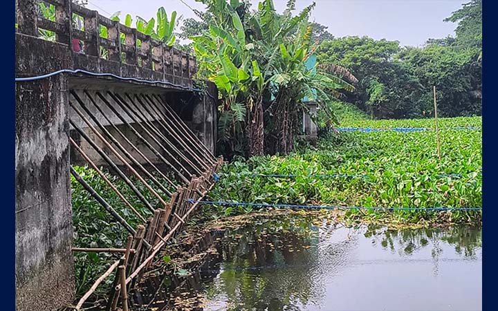 ব্রিজের মুখ ভরাট করে সরকারি জমি দখল