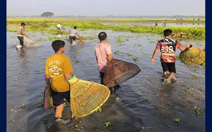 বিলের বুকে মাছ ধরার পলো ও উচা উৎসব