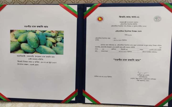 জিআই পণ্যের নিবন্ধন পেলো নওগাঁর নাক ফজলি