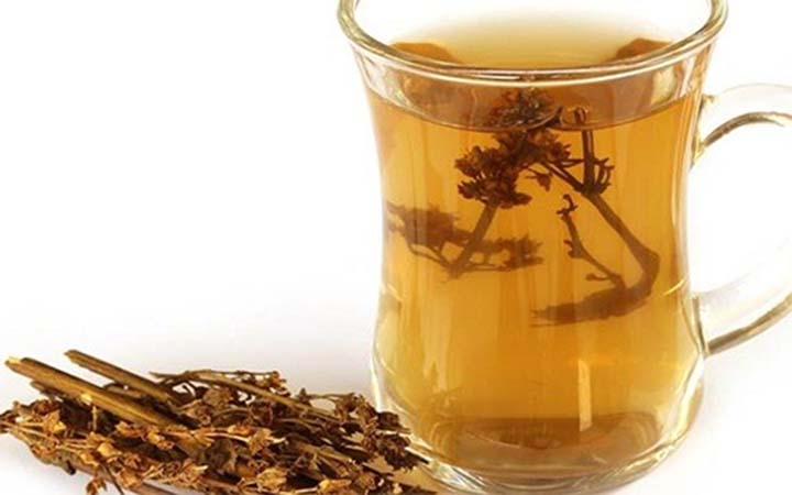 চিরতার গুণাগুণ ও উপকারিতা