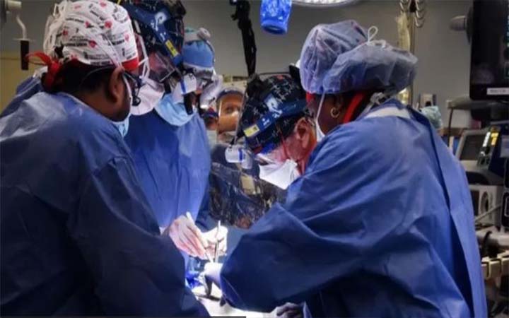মানুষের শরীরে প্রথমবারের মত প্রতিস্থাপন করা হল শুকরের হৃদপিণ্ড