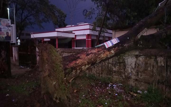 মৌলভীবাজারে কালবৈশাখী ঝড়ে গাছ পড়ে আহত ২