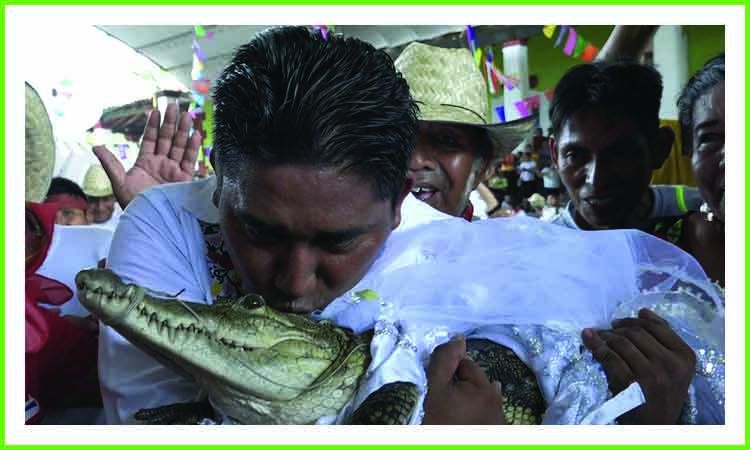 মেক্সিকোতে কুমিরকে বিয়ে করলেন একজন মেয়র!