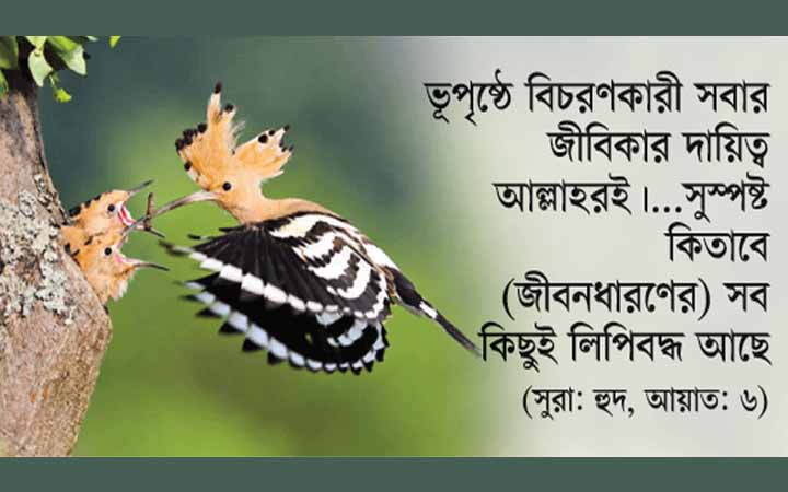 রিজিকের বণ্টন আল্লাহ পক্ষ থেকেই হয়