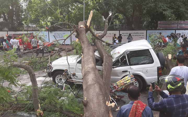 রাজধানীতে চলন্ত গাড়ির ওপর ভেঙে পড়ল কৃষ্ণচূড়া গাছ, আহত ৪