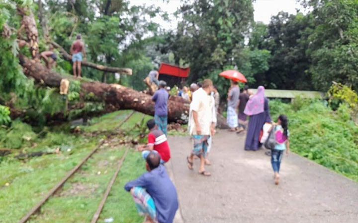 গাছ উপড়ে নোয়াখালীর সঙ্গে সারা দেশের রেল যোগাযোগ বন্ধ