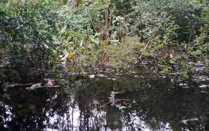 কেরু কোম্পানির দূষিত বর্জ্য পানির পাইপ ফেটে প্লাবিত, দুর্গন্ধে অতিষ্ঠ এলাকাবাসী