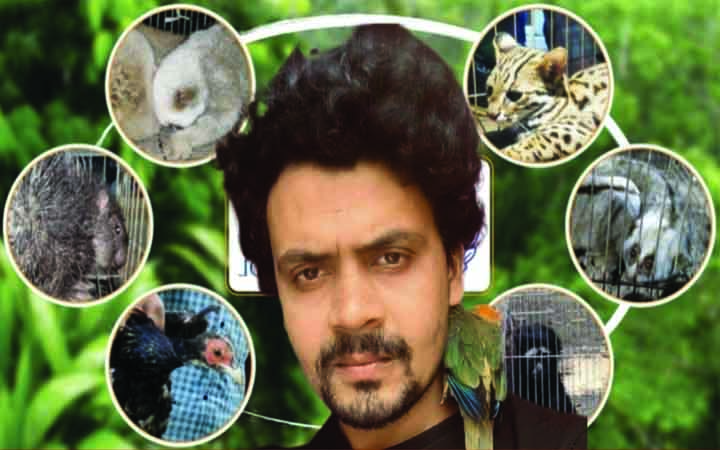সবুজের বিরুদ্ধে আন্তর্জাতিক বন্যপ্রাণী চোরাচালানে সংশ্লিষ্টতার অভিযোগ