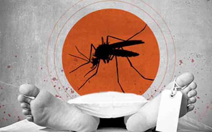 নরসিংদীতে ডেঙ্গু আক্রান্ত এক নারীর মৃত্যু