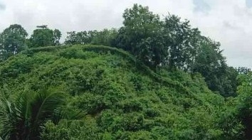 নির্বাচনকে সামনে রেখে দেশে অবৈধ অস্ত্রের আমদানি