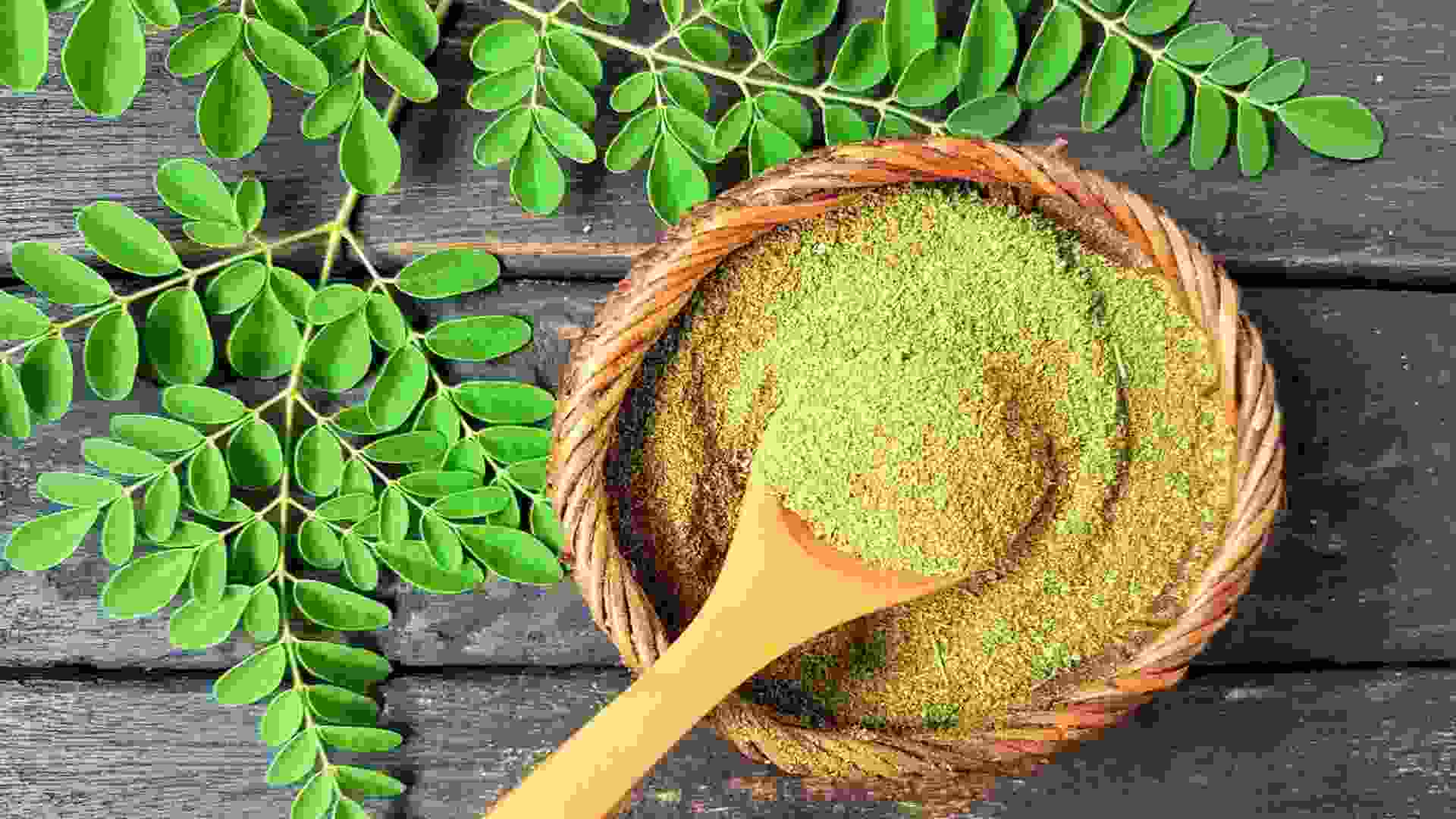 শজনে পাতায় সারবে ৩০০ অসুখ!