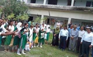 পাইকগাছার সড়কে তাল বীজ ও গাছের চারা রোপন