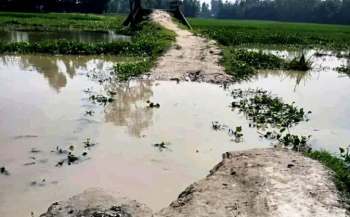 কুড়িগ্রামে বেহাল রাস্তায় নাজেহাল বাসিন্দারা